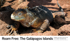 Exhale Magazine: Roam Free: The Galapagos Islands