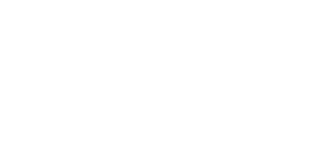 Wild Junket Adventure Travel Blog Logo