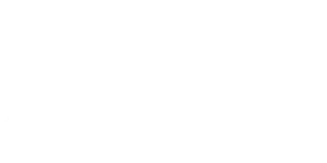 Wild Junket Adventure Travel Blog Logo