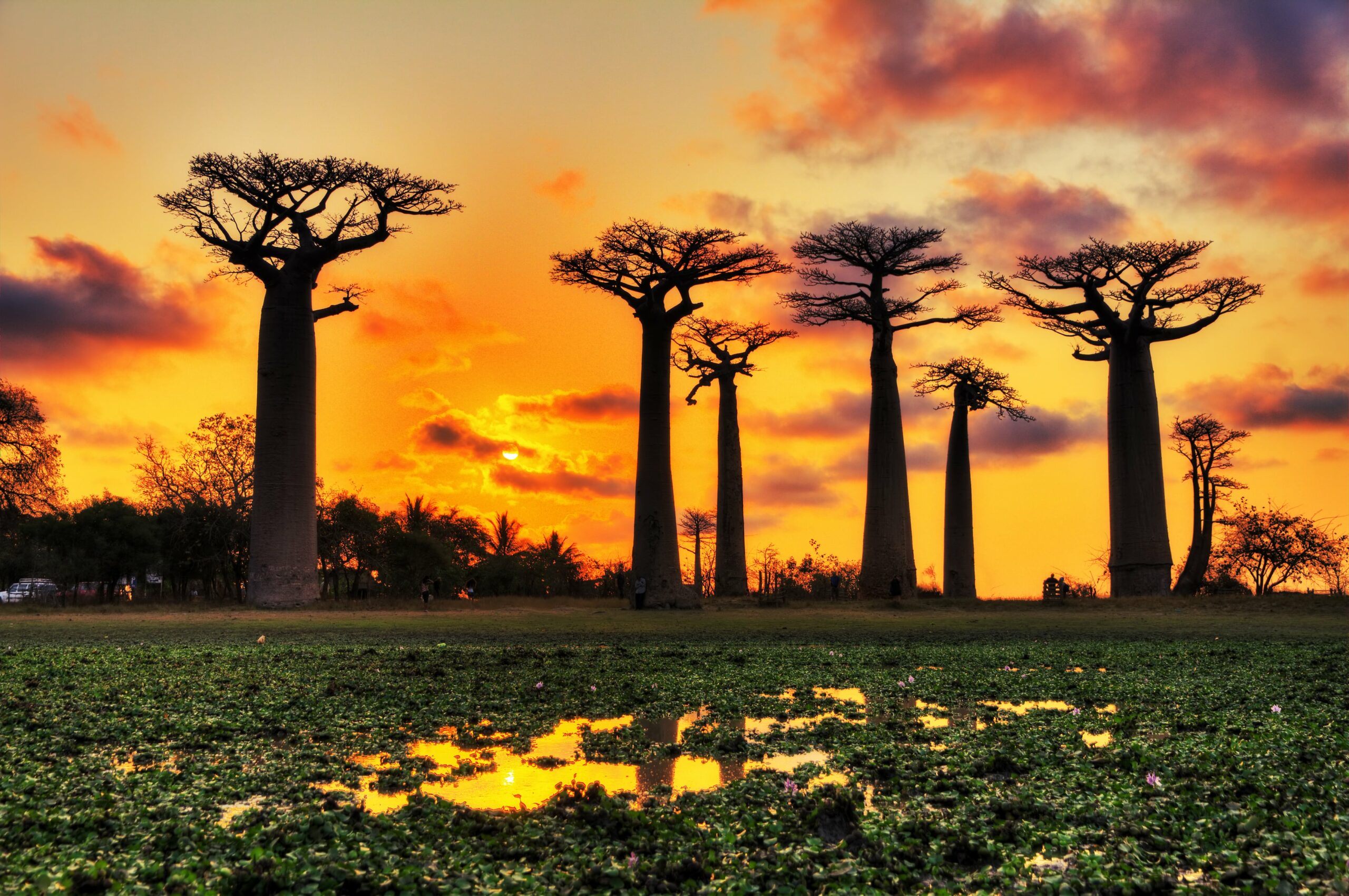 Sunset in Madagascar