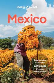 Lonely Planet Mexico Book Image